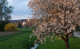 Frühling in Bad Birnbach