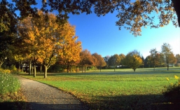 Kurpark im Herbst